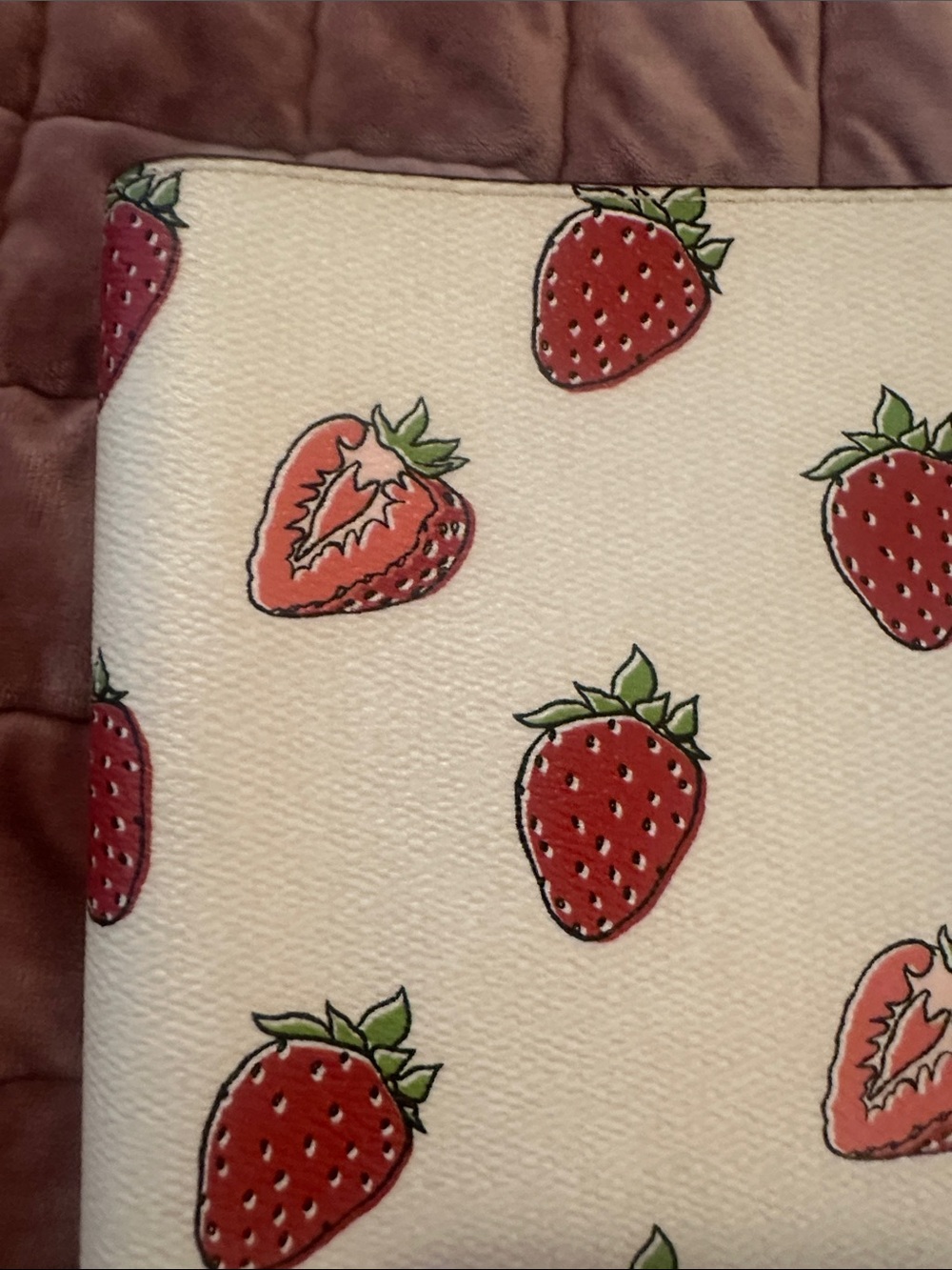 NEW Coach Leather Cream Color and Strawberry Print Notebook - Picture 8 of 12